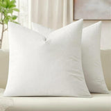Pack of 2, Velvet Soft Solid Decorative Square Throw Pillow Set Cushion Cases Pillowcases for Sofa Bedroom Car, Home