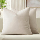 Pack of 2, Velvet Soft Solid Decorative Square Throw Pillow Set Cushion Cases Pillowcases for Sofa Bedroom Car, Home