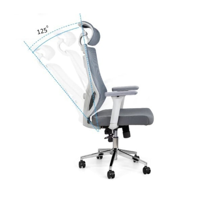 Ergonomic Computer Chair | High Back Office Chair with Lumbar Support, Adjustable Height